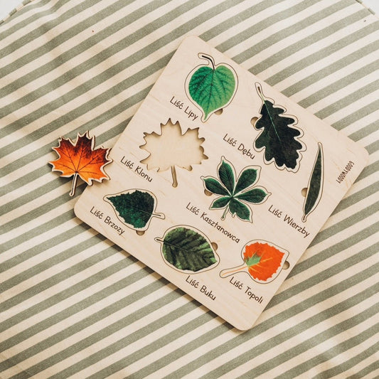 Educational puzzle - Leaves